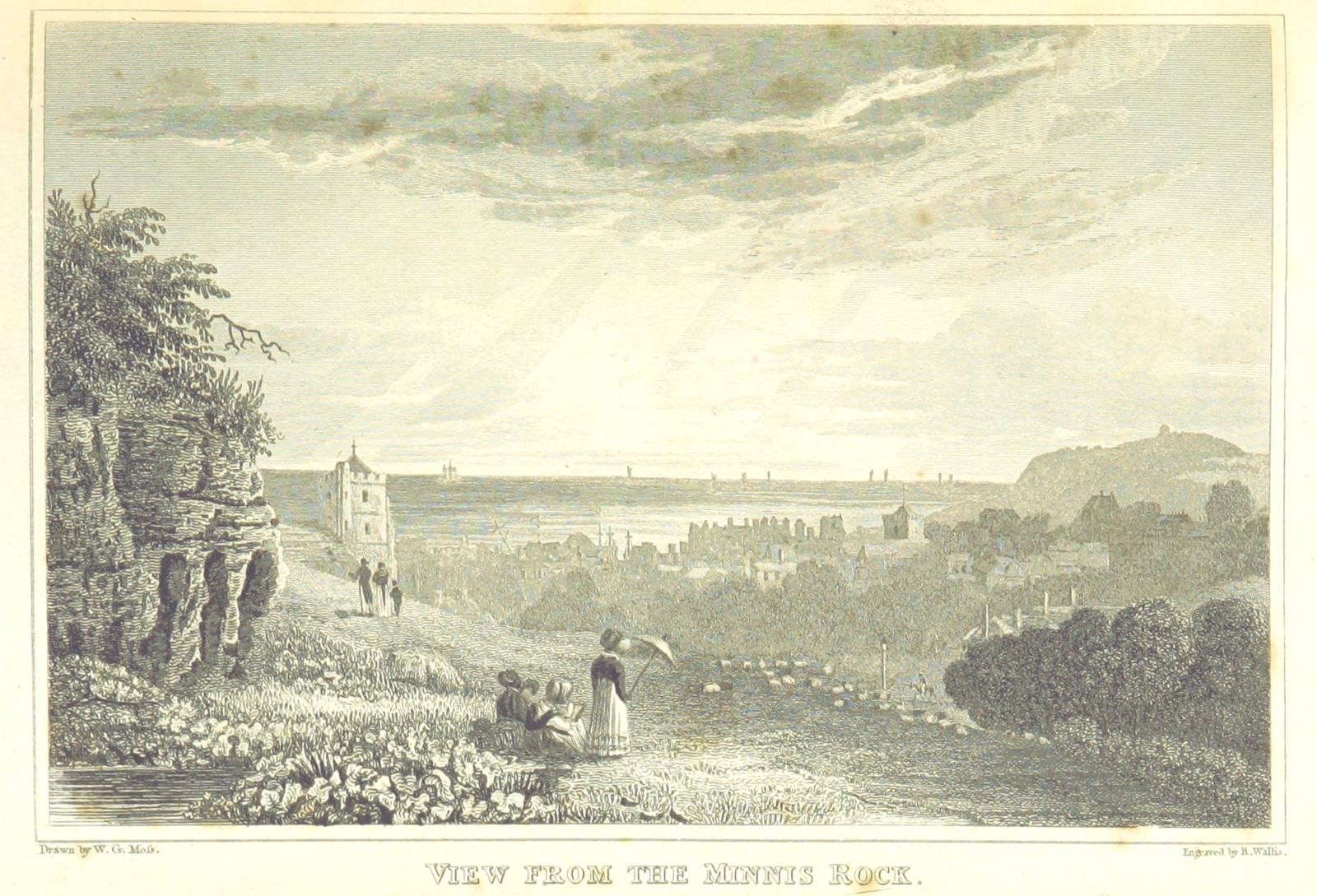 Minnis Rock Moss 1824.png